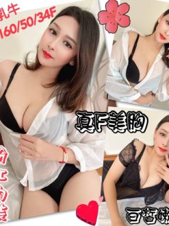 乳牛 160/50/F/28Y