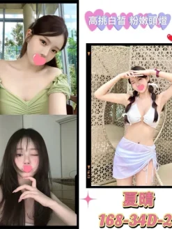 台北外送茶:夏晴 168/D/21Y