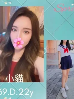 台北外送茶:小貓 169/D/22Y