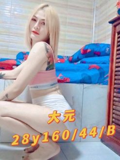 大元 160/44/B/28Y