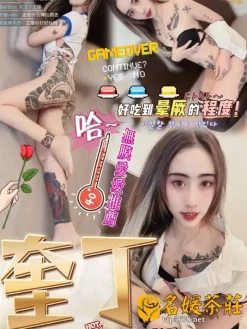 奎丁 152/40/B