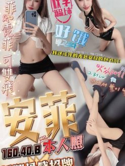 安菲 160/40/B
