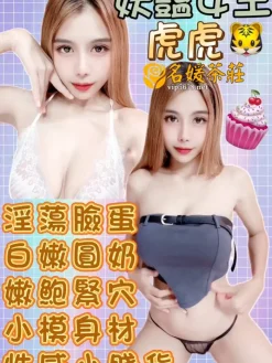 虎虎 156/45/C/25Y