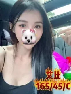 台中外送茶:艾比 165/45/C