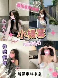 台北外送茶:小楊冪 160/C/20Y